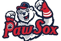 pawsox logo